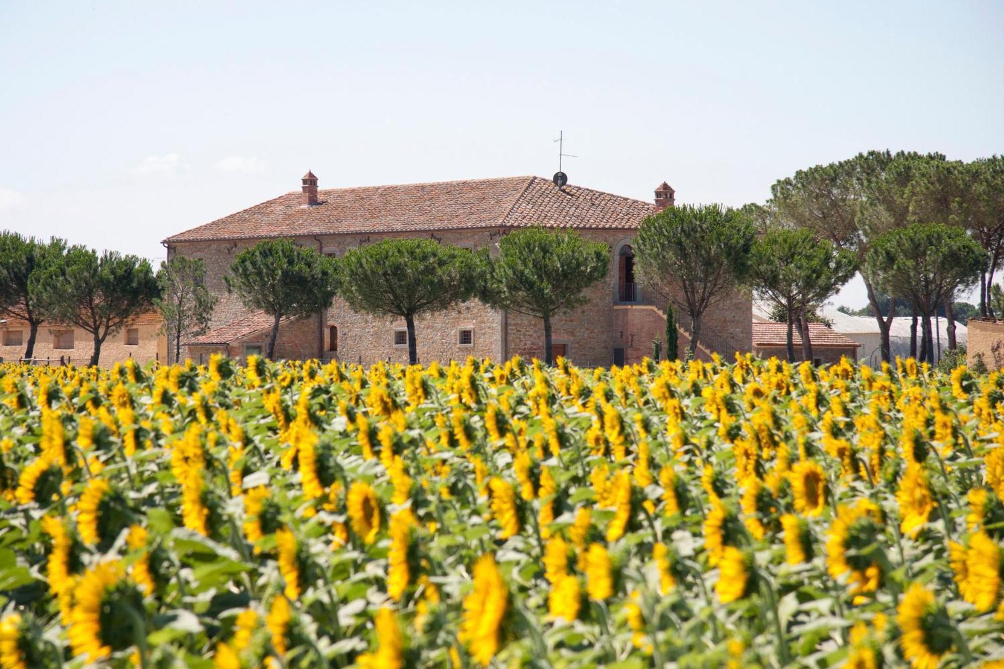 Terra Di Cortona Villa Luaran gambar