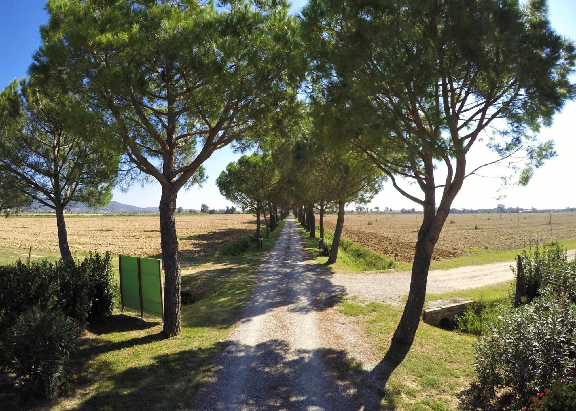 Terra Di Cortona Villa Luaran gambar